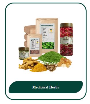 Giyahkala Company – Saffron, Herbal Oils, Red Liquid Ginseng Extract & Cosmetic Aloe Vera